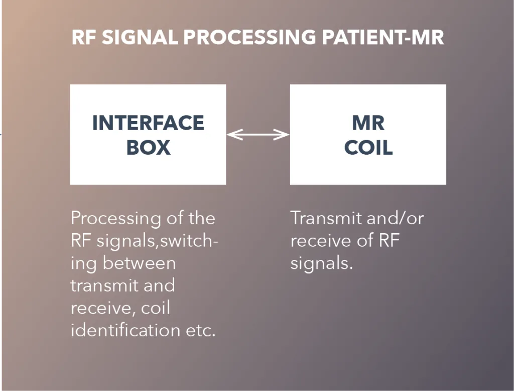 Diagram: RF signal processing from patient to MR system